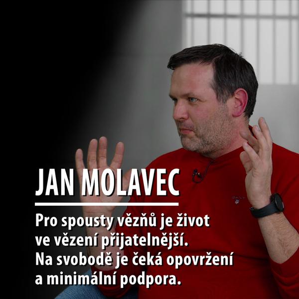 Motýl za katrem